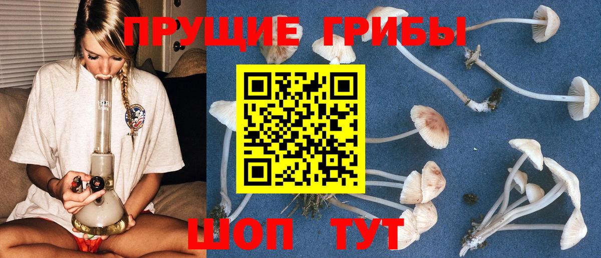 Галлюциногенные грибы MAGIC MUSHROOMS  хочу   Псилоцибиновые грибы Magic Shrooms  Когалым  Вход с VPN 